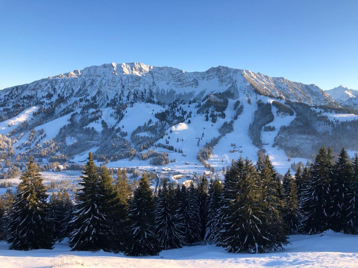 Mountain Oberjoch - Allgaeu Appartement Bad Hindelang