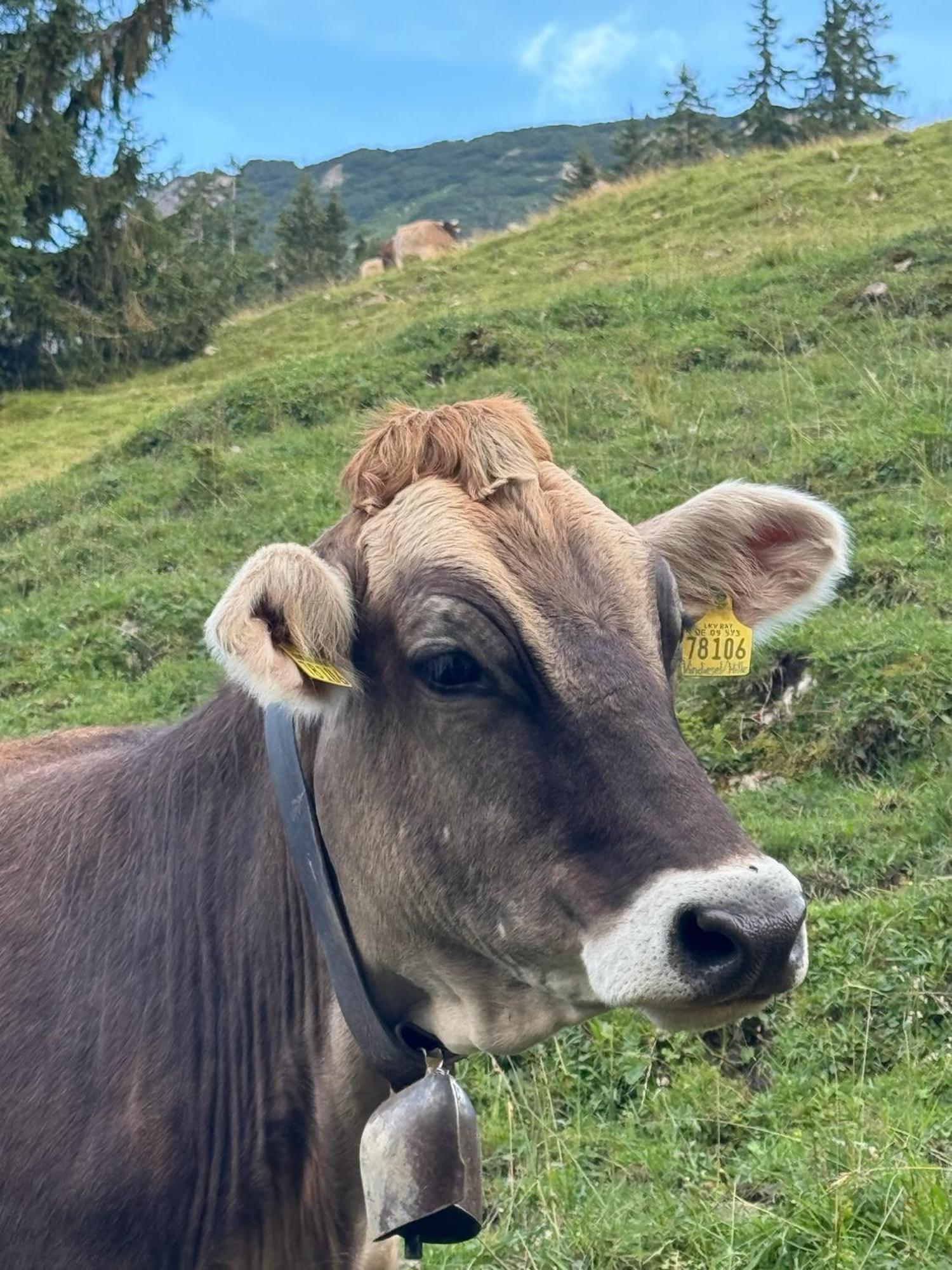 Mountain Oberjoch - Allgaeu