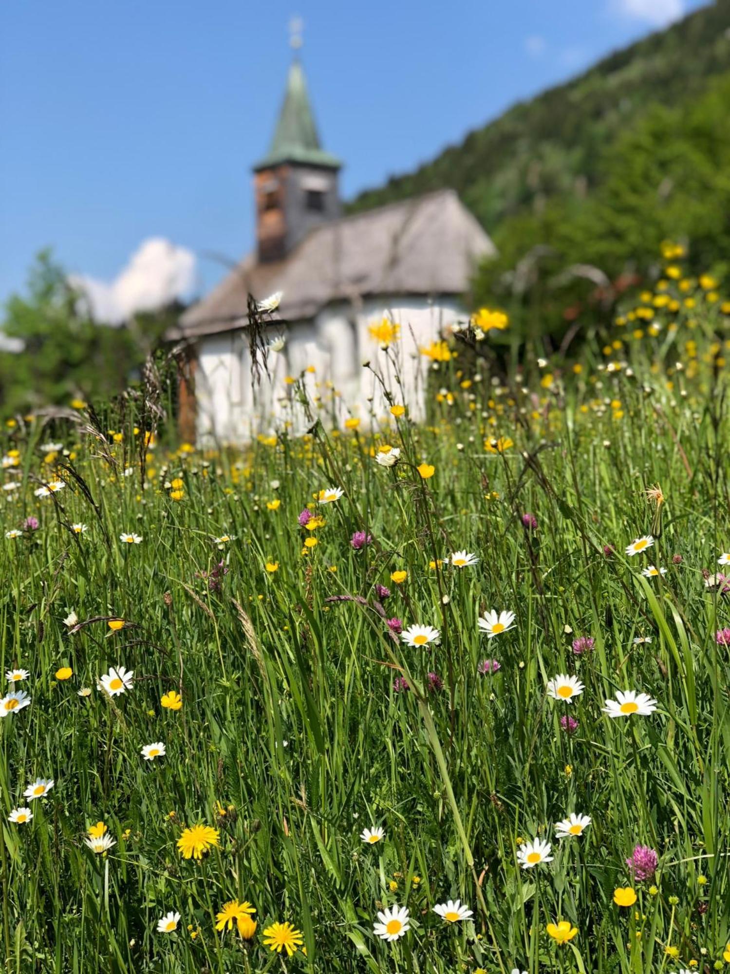 Mountain Oberjoch - Allgaeu Appartement