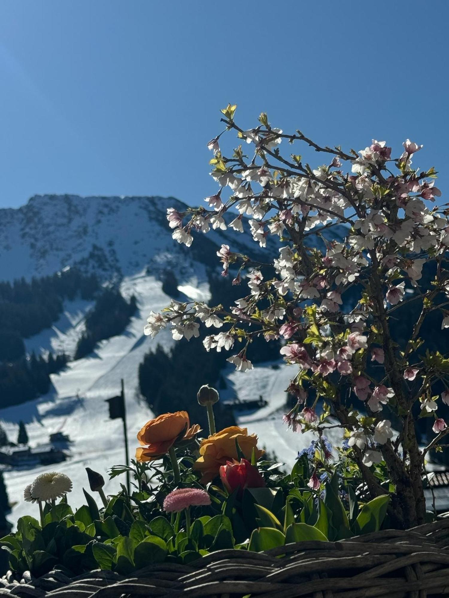 Appartement Mountain Oberjoch - Allgaeu