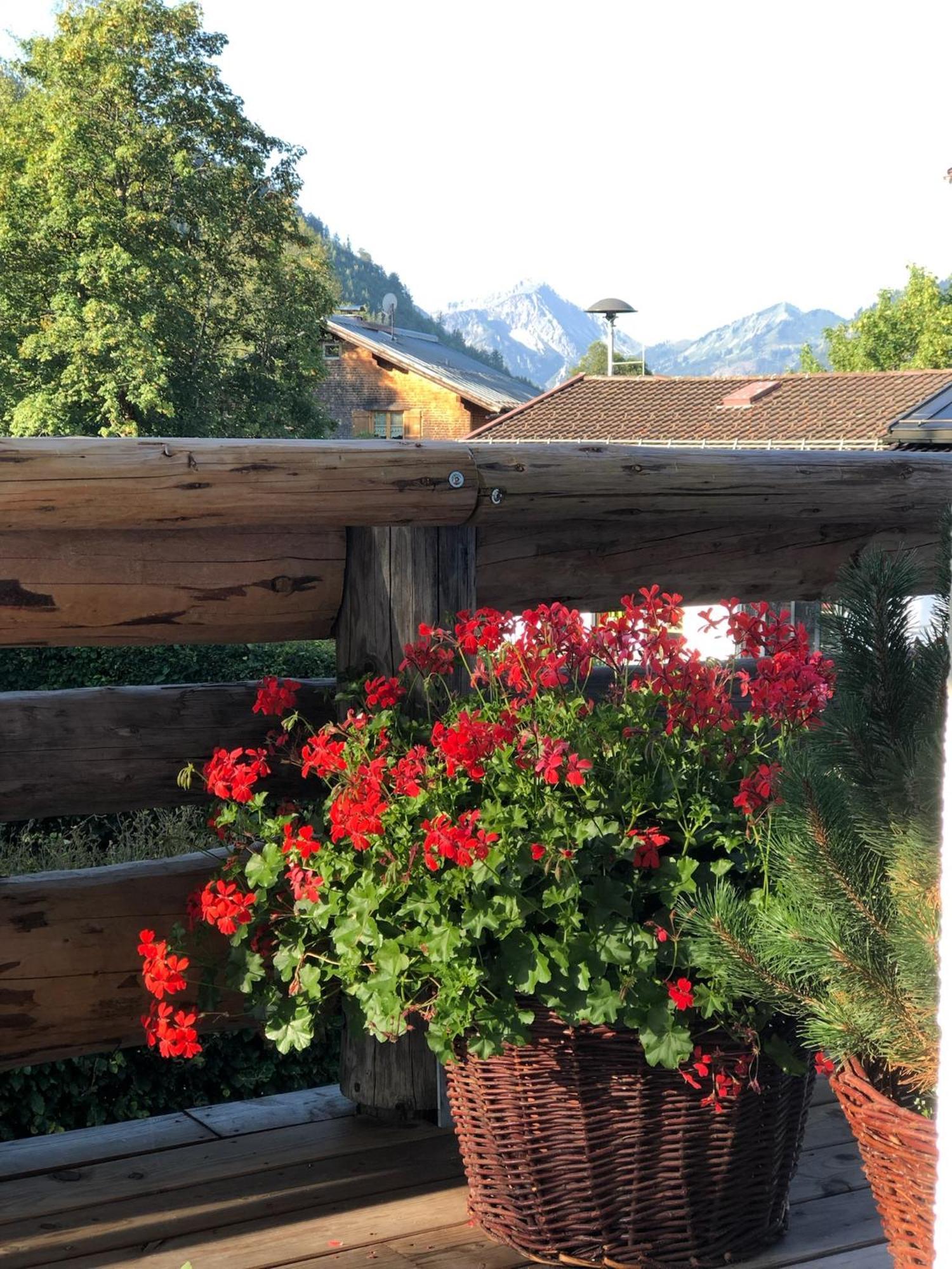 Mountain Oberjoch - Allgaeu *